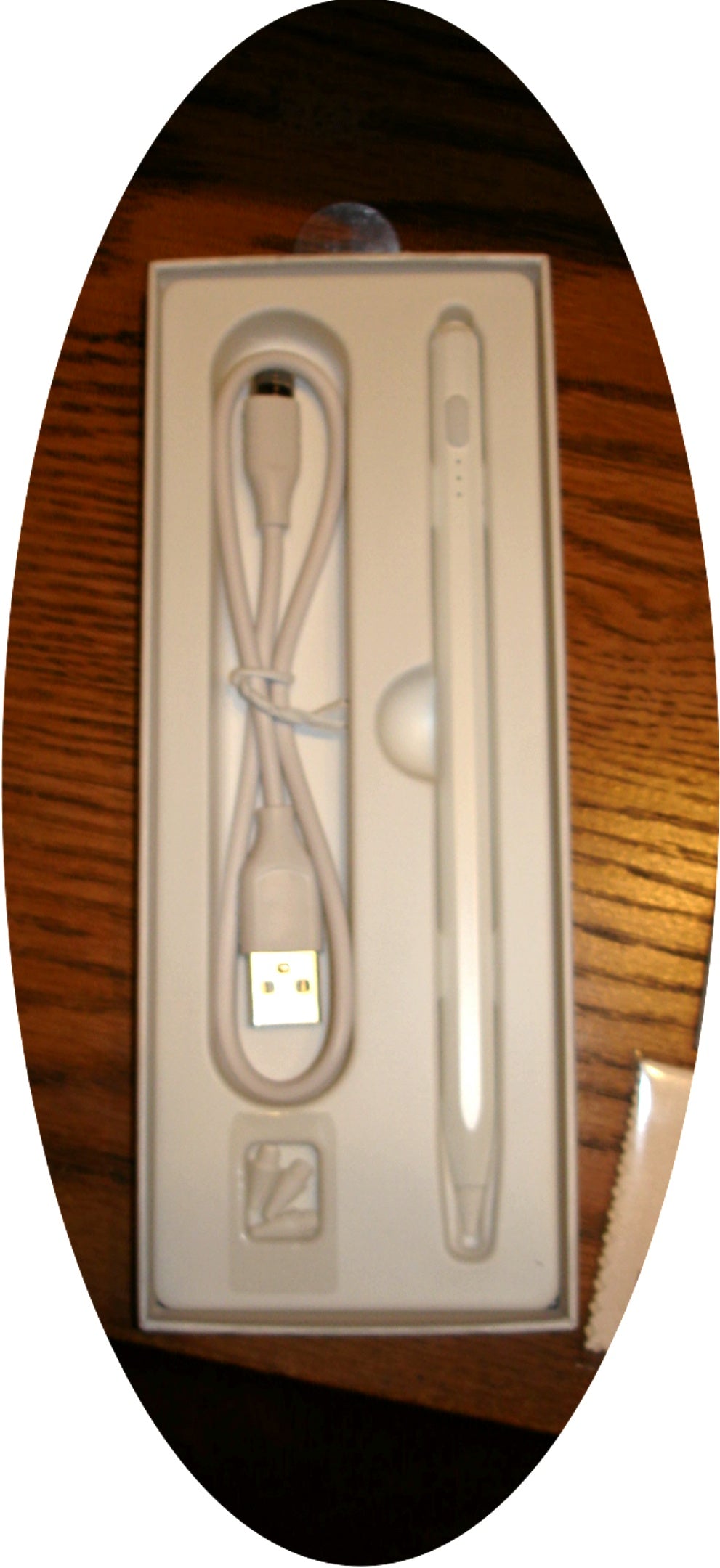 Stylus Pen for Apple iPad /iPad Air/Pro/Mini - iPad Pencil w/Palm Rejection NIB